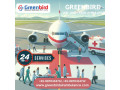 hire-greenbird-air-and-train-ambulance-services-in-ahmedabad-with-competent-healthcare-support-small-0