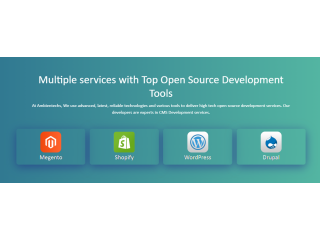 Open Source web development Company
