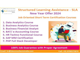 VBA Macros Institute in Delhi, SLA Classes, Laxmi Nagar, MIS, Excel, SQL Training Course with 100% Job
