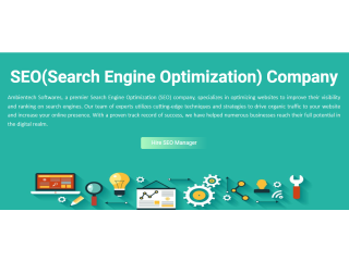 SEO(Search Engine Optimization) Company