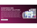 wordpress-web-development-company-small-0