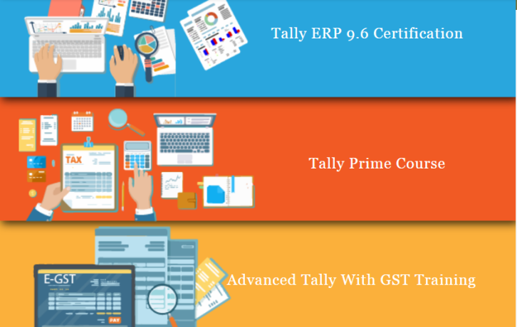 tally-institute-in-laxmi-nagar-delhi-noida-gurgaon-sla-institute-accounting-gst-sap-fico-certification-with-100-job-big-0