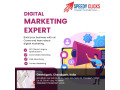 speedy-clicks-digital-marketing-company-in-chandigarh-small-1