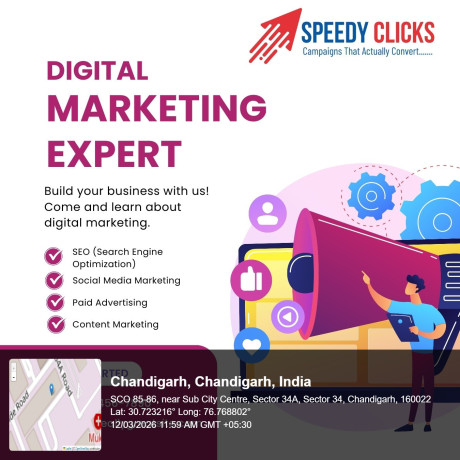 speedy-clicks-digital-marketing-company-in-chandigarh-big-1