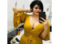call-girls-in-malviya-nagar-9711147426-cash-payment-no-advance-small-0