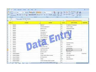 Guaranteed Volume: Medical Form Filling Project   7708244092