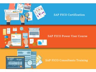 SAP FICO Institute in Delhi, Preet Vihar, SLA SAP Learning Tutorial Learning, Best Accounting Training Certification, 100% Job with Best Salary