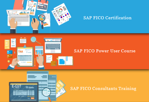 sap-fico-institute-in-delhi-preet-vihar-sla-sap-learning-tutorial-learning-best-accounting-training-certification-100-job-with-best-salary-big-0