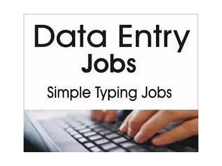 Work from Home: US Data Entry Opportunity