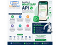 indias-trusted-bulk-sms-whatsapp-service-provider-cellcommnext-small-1