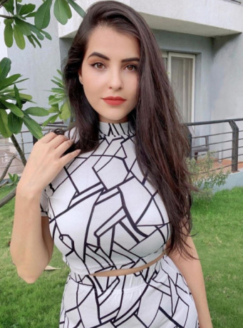 call-girls-in-chittaranjan-park-delhi-9958659377-escort-service-big-0