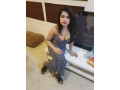 rassian-topyoung-call-girls-in-shakti-nagar-9990224454-female-escorts-service-delhi-ncr-small-0