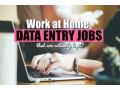 earn-from-home-form-typing-project-7708244092-small-0