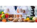 fruits-vegetable-grocery-free-delivery-in-adyar-chennai-small-0
