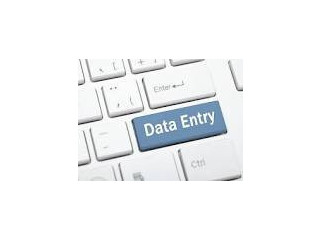 High-Paying Data Typing Work | Contact Us
