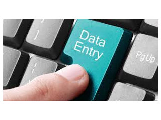 Work from Home: Data Entry Opportunity