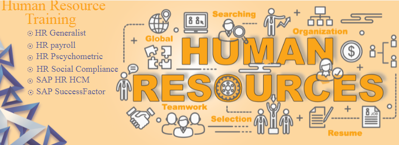hr-institute-in-delhi-learn-labour-law-hr-policies-and-recruitment-with-free-hr-analytics-sap-hcm-by-sla-consultants-india-big-0