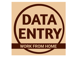 Work from Home: Data Entry Opportunity