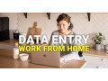 work-from-home-filling-data-entry-project-apply-today-small-0
