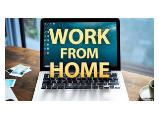 Data Filling Project for Typists | 7708244092