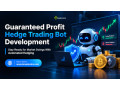 automate-your-hedge-strategy-with-guaranteed-profit-hedge-trading-bot-development-small-0