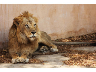 Luxury India Tours  Idyllic India Tours