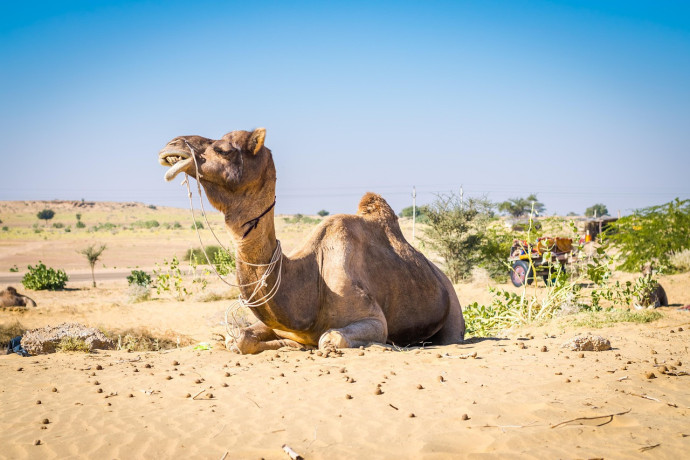 luxury-india-tours-idyllic-india-tours-big-2